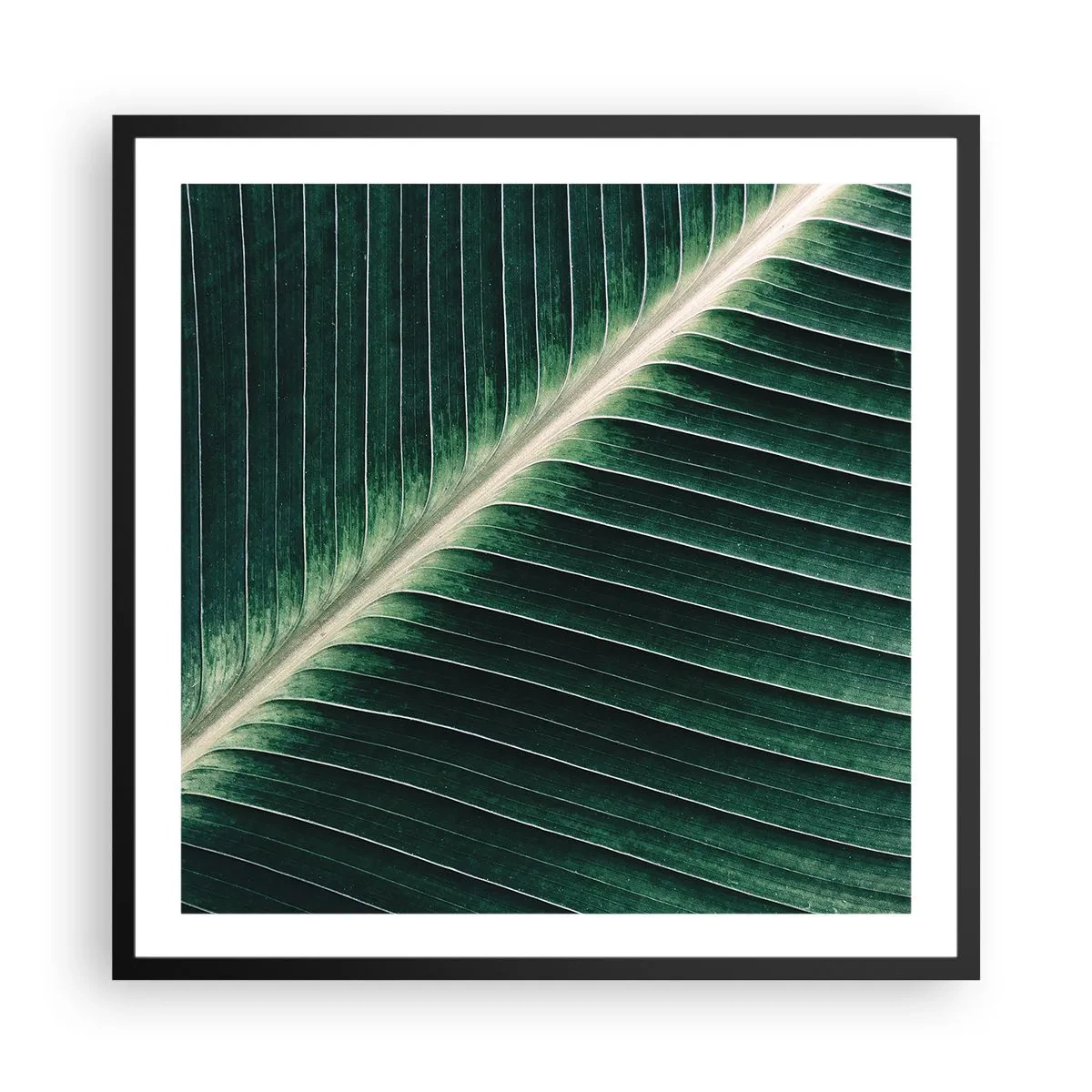 Póster en marco negro - El ritmo de la naturaleza - 60x60 cm