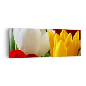 Cuadro sobre lienzo - Impresión de Imagen - Primer plano de tulipanes coloridos sobre un fondo primaveral - 140x50cm - Fiebre del tulipán - Decoración de pared moderna para salón y dormitorio ARTTOR