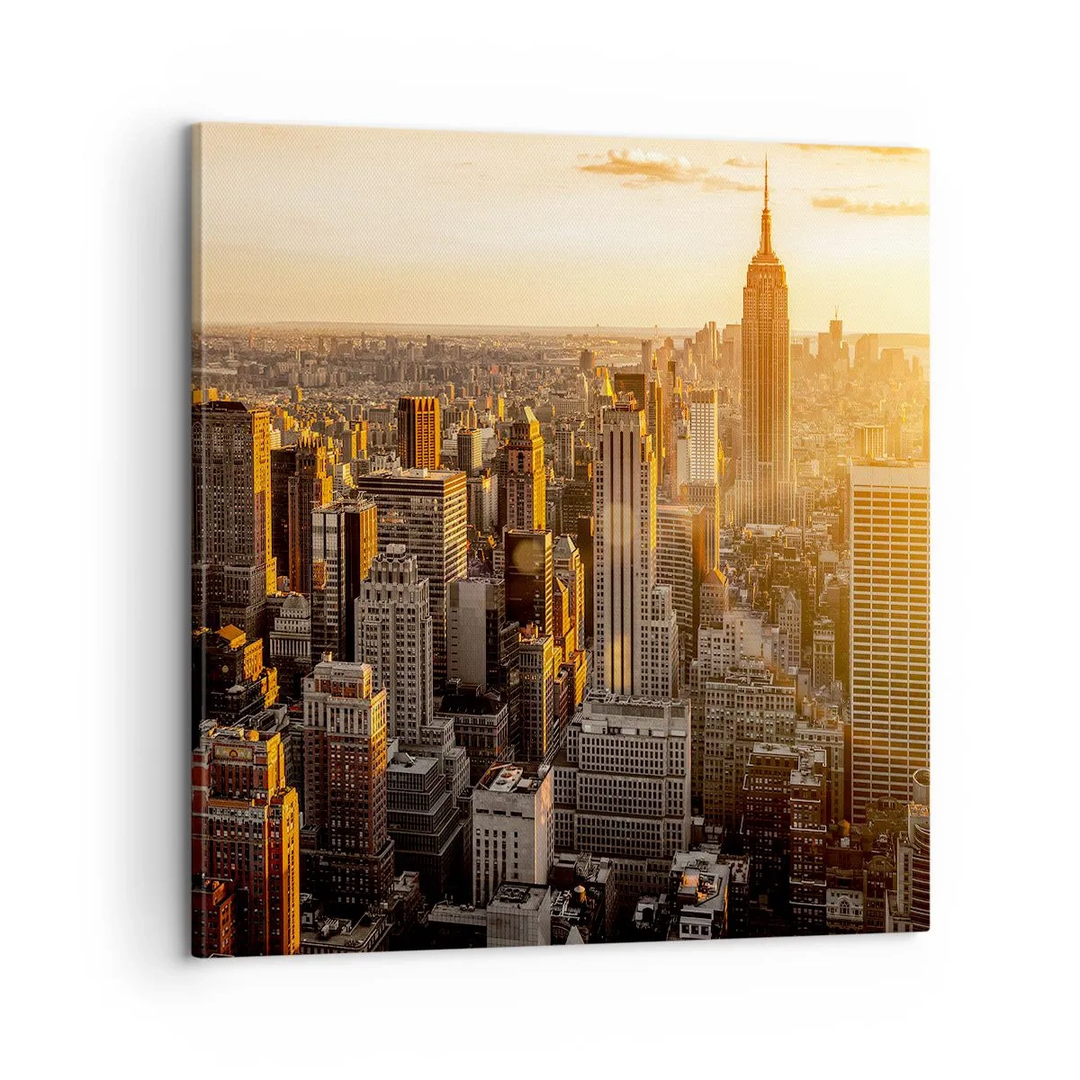 Cuadro sobre lienzo - Impresión de Imagen - Creciendo al sol - 60x60 cm