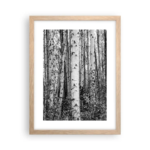 Póster en marco roble claro - Columnas de abedules - 30x40 cm