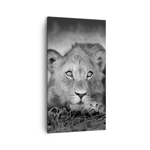 Cuadro sobre lienzo - Impresión de Imagen - Un cachorro real - 45x80 cm