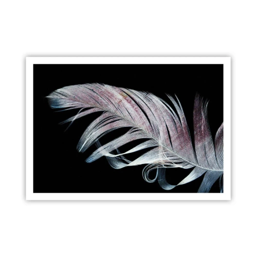 Póster - Una delicada pluma sobre un fondo negro en un enfoque artístico. - 100x70cm - Piensa en el tacto - Decoración de pared moderna para salón y dormitorio ARTTOR