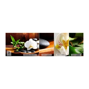 Muestra de fotomural autoadhesivo Deluxe Sticker - Ríndete al tacto de la naturaleza - flores, Orquídea, Orquídea - 100x30 cm