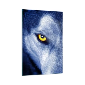 Cuadro sobre vidrio - Impresiones sobre Vidrio - Primer plano de la intensa mirada de un lobo sobre un fondo oscuro. - 70x100cm - La mirada hipnótica - Decoración de pared moderna para salón y dormitorio ARTTOR