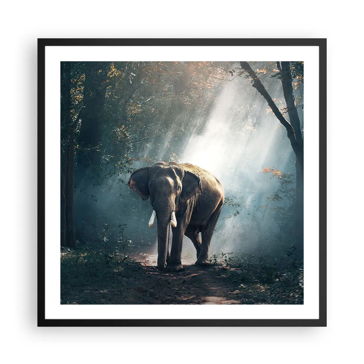 Póster en marco negro - Un paseo tranquilo - 60x60 cm