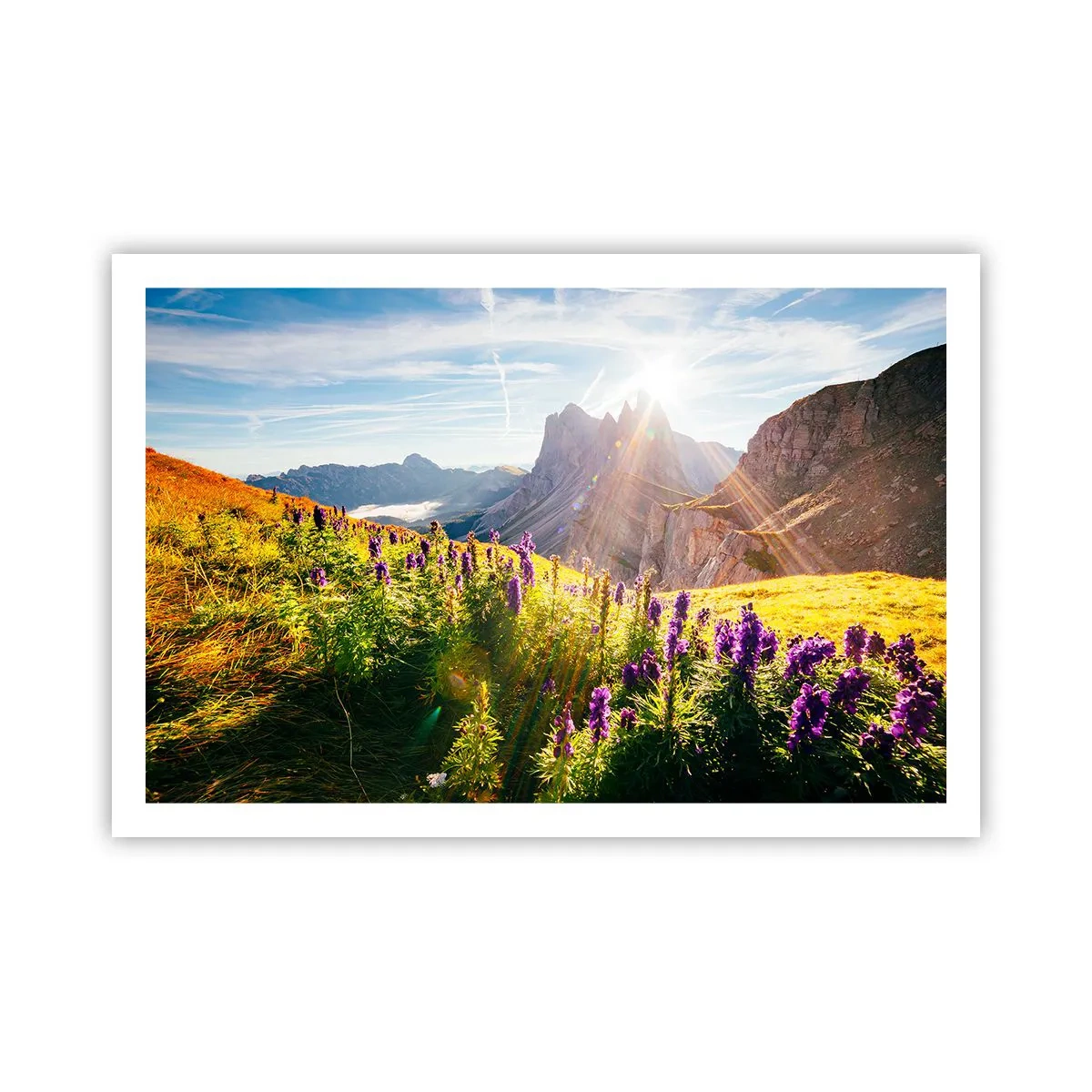 Póster - La vida secreta de las hierbas - 91x61 cm