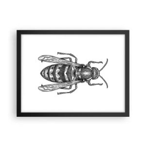 Póster en marco negro - Desde un planeta de insectos - 40x30 cm