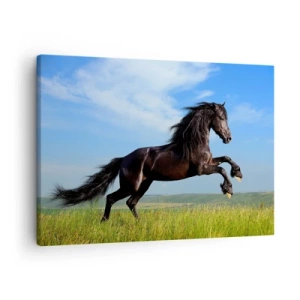 Cuadro sobre lienzo - Impresión de Imagen - Un caballo negro corriendo contra un cielo azul y un prado verde. - 70x50cm - Emocionante manifiesto de libertad - Decoración de pared moderna para salón y dormitorio ARTTOR