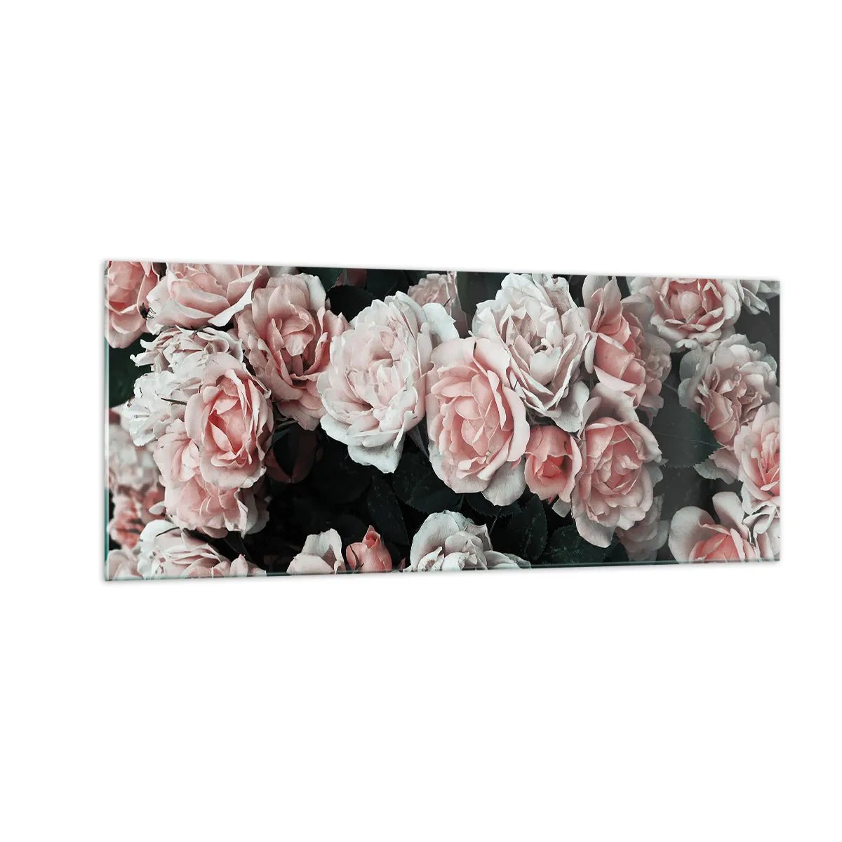 Cuadro sobre vidrio - Impresiones sobre Vidrio - Conjunto de rosas - 100x40 cm