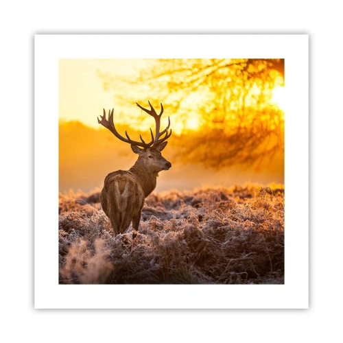 Póster - Rey del bosque de otoño - 40x40 cm