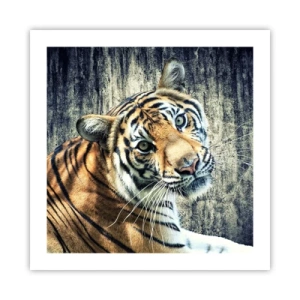 Póster - Retrato en corrientes de luz - 50x50 cm