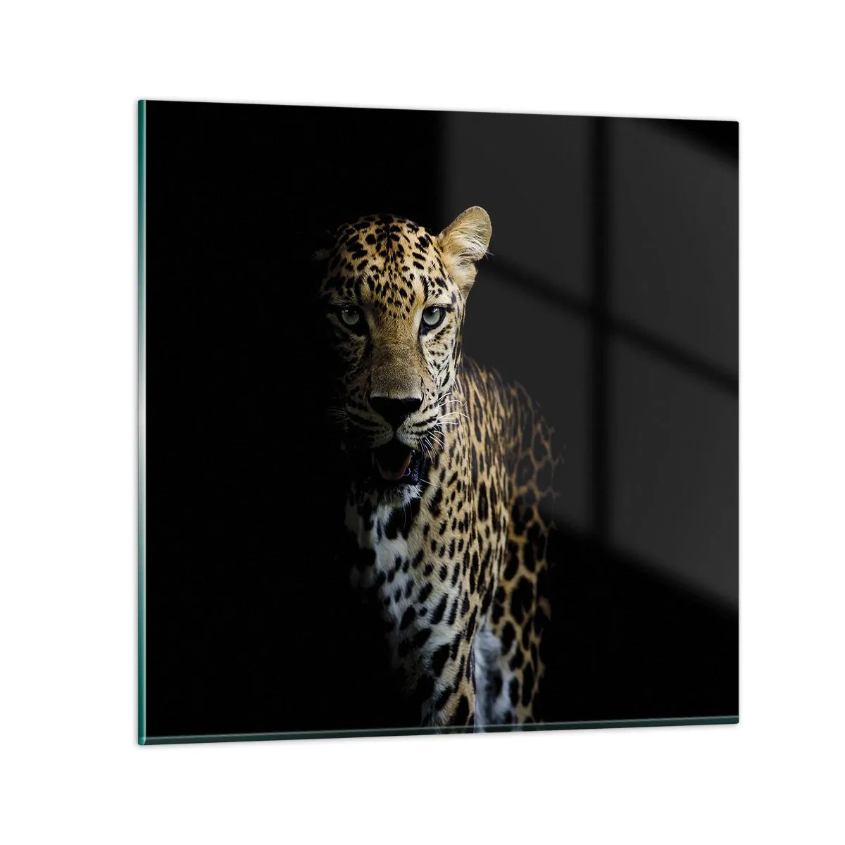 Cuadro sobre vidrio - Impresiones sobre Vidrio - Belleza oscura - 60x60 cm