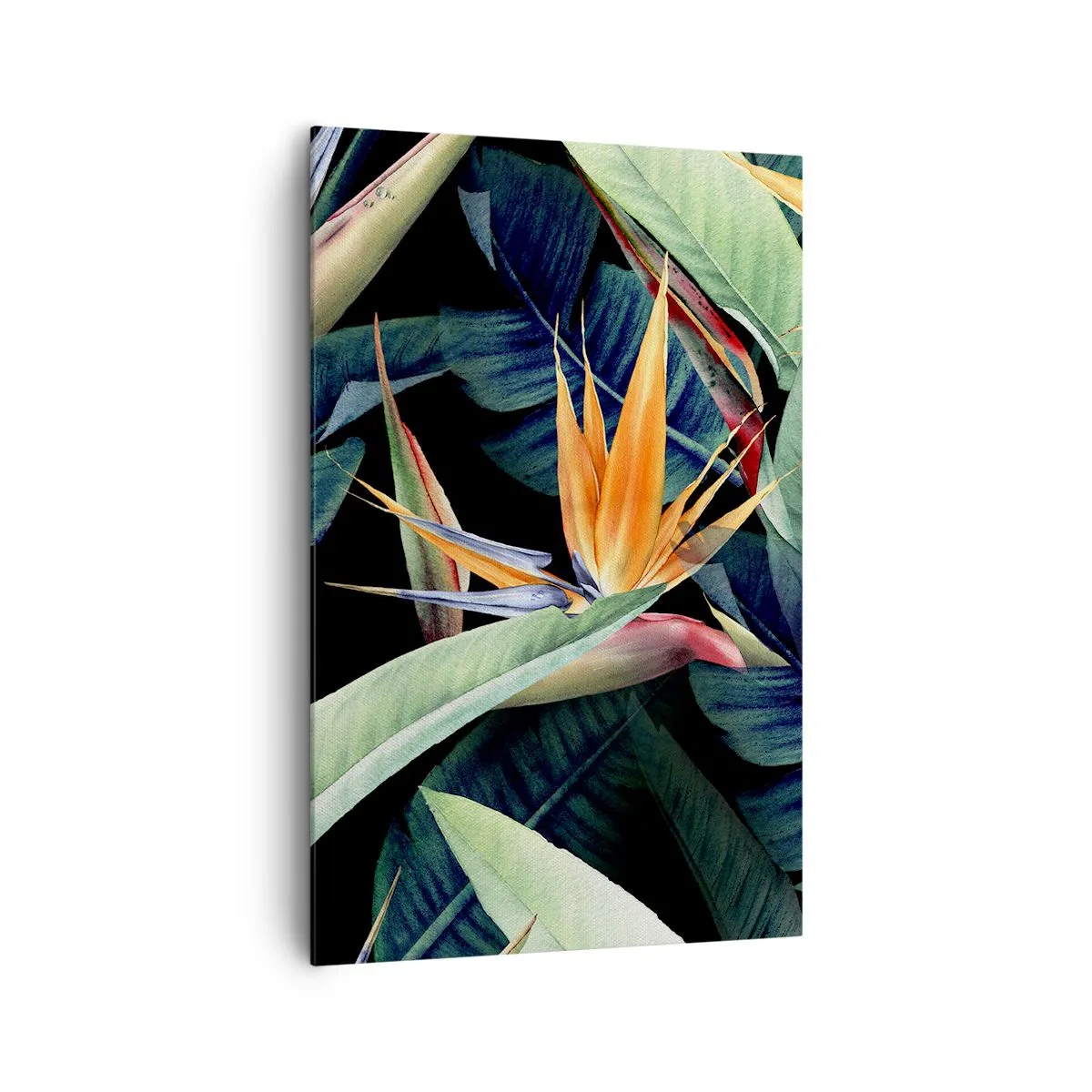 Cuadro sobre lienzo - Impresión de Imagen - Flores y hojas tropicales sobre fondo negro. - 80x120cm - Flores de llamas de los trópicos - Decoración de pared moderna para salón y dormitorio ARTTOR