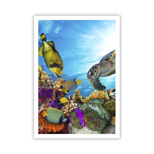 Póster - Paseo del coral - 70x100 cm