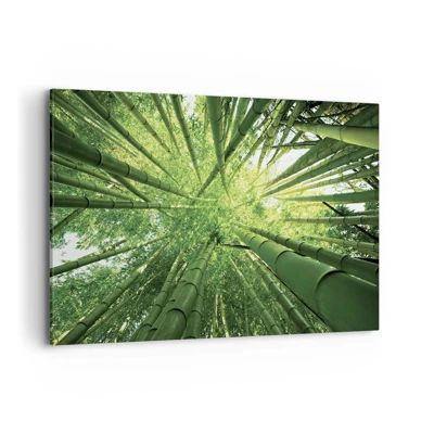 Cuadro sobre lienzo - Impresión de Imagen - En un bosquecillo de bambú - 120x80 cm