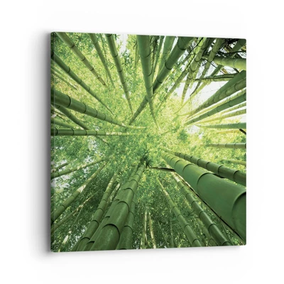 Cuadro sobre lienzo - Impresión de Imagen - En un bosquecillo de bambú - 40x40 cm
