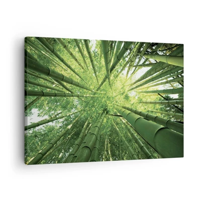 Cuadro sobre lienzo - Impresión de Imagen - En un bosquecillo de bambú - 70x50 cm