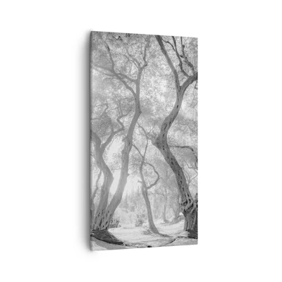 Cuadro sobre lienzo - Impresión de Imagen - En un olivar - 55x100 cm