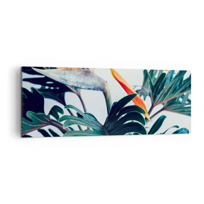 Cuadro sobre lienzo - Impresión de Imagen - La jaula del pájaro colorido - 140x50 cm