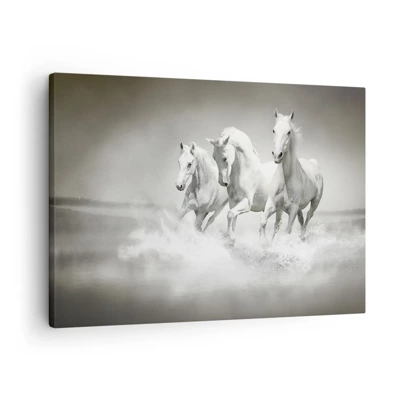 Cuadro sobre lienzo - Impresión de Imagen - Locura blanca - 70x50 cm