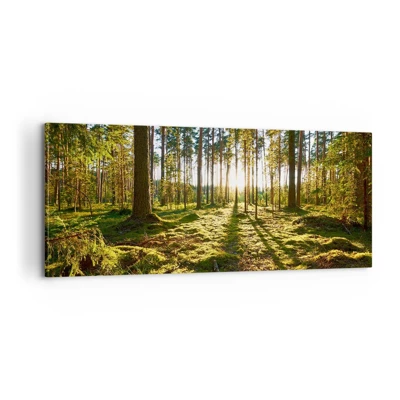 Cuadro sobre lienzo - Impresión de Imagen - ...Más allá de los siete bosques - 100x40 cm