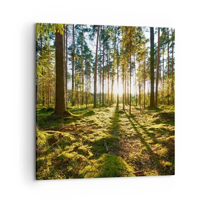 Cuadro sobre lienzo - Impresión de Imagen - ...Más allá de los siete bosques - 50x50 cm