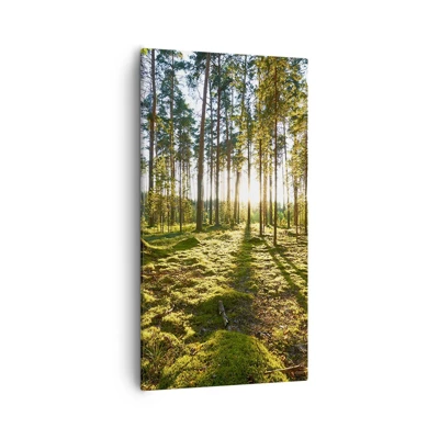 Cuadro sobre lienzo - Impresión de Imagen - ...Más allá de los siete bosques - 55x100 cm