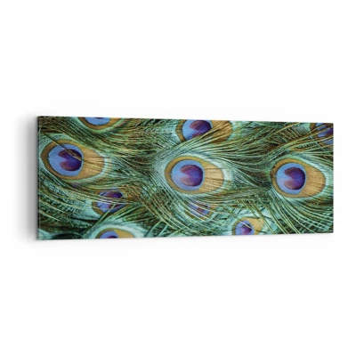 Cuadro sobre lienzo - Impresión de Imagen - Mirada de pavo real - 140x50 cm