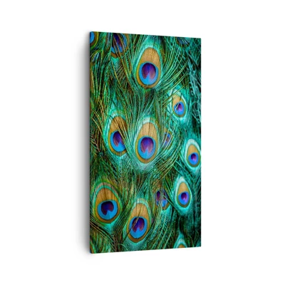 Cuadro sobre lienzo - Impresión de Imagen - Mirada de pavo real - 45x80 cm