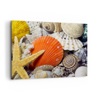 Cuadro sobre lienzo - Impresión de Imagen - Tesoros del océano - 100x70 cm