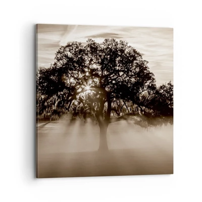 Cuadro sobre lienzo - Impresión de Imagen - Un árbol de buenas noticias  - 70x70 cm