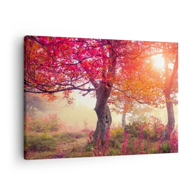 Cuadro sobre lienzo - Impresión de Imagen - Un frenesí de floración - 70x50 cm