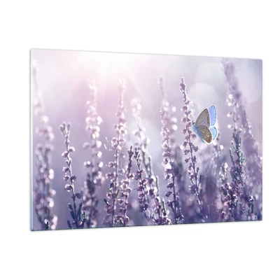 Cuadro sobre vidrio - Impresiones sobre Vidrio - El beso de una mariposa - 120x80 cm