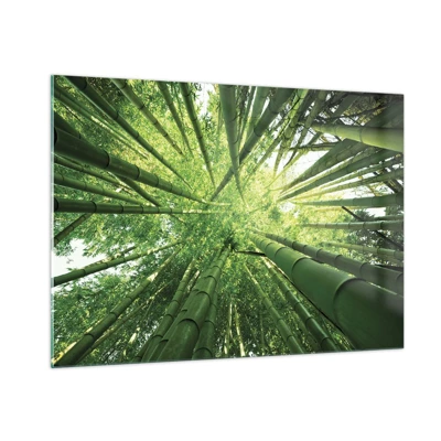 Cuadro sobre vidrio - Impresiones sobre Vidrio - En un bosquecillo de bambú - 100x70 cm