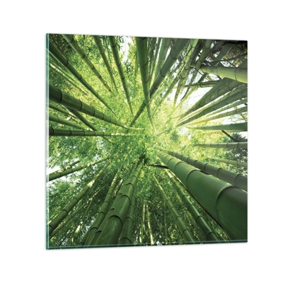 Cuadro sobre vidrio - Impresiones sobre Vidrio - En un bosquecillo de bambú - 60x60 cm