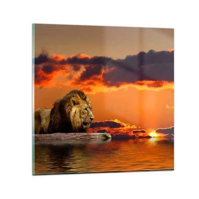 Cuadro sobre vidrio - Impresiones sobre Vidrio - Rey de la naturaleza - 40x40 cm