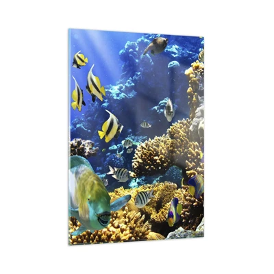 Cuadro sobre vidrio - Impresiones sobre Vidrio - Vacaciones submarinas - 50x70 cm