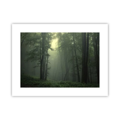 Póster - Antes de que se despierte el bosque - 40x30 cm