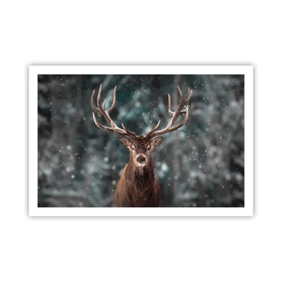 Póster - Coronado rey del bosque - 91x61 cm