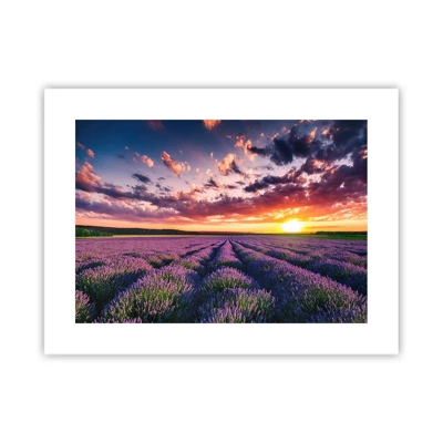 Póster - El mundo de la lavanda - 40x30 cm