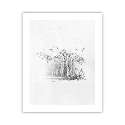 Póster - La luz de un bosque de abedules - 40x50 cm