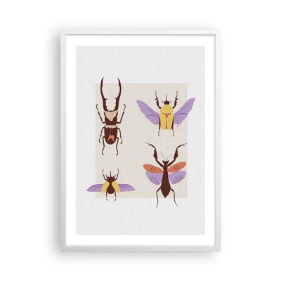 Póster en marco blanco - El mundo de los insectos - 50x70 cm