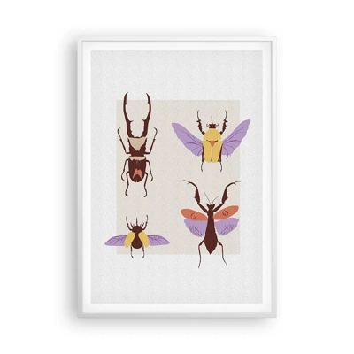 Póster en marco blanco - El mundo de los insectos - 70x100 cm