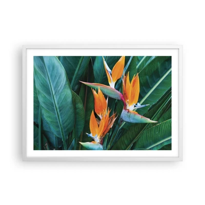 Póster en marco blanco - ¿Es una flor o es un pájaro? - 70x50 cm