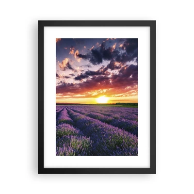 Póster en marco negro - El mundo de la lavanda - 30x40 cm