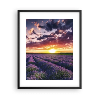 Póster en marco negro - El mundo de la lavanda - 40x50 cm