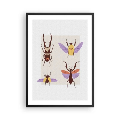 Póster en marco negro - El mundo de los insectos - 50x70 cm