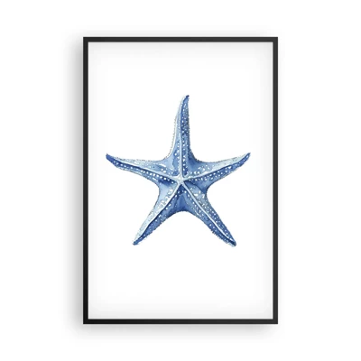 Póster en marco negro - Estrella de mar - 61x91 cm