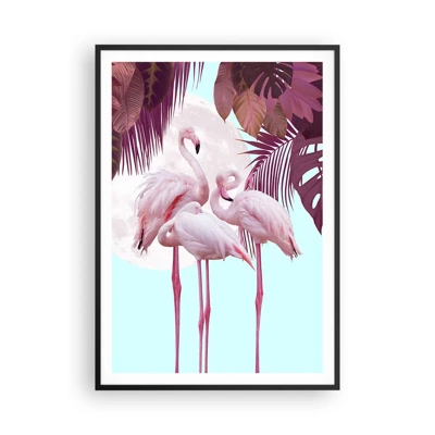 Póster en marco negro - La grandeza de las aves - 70x100 cm