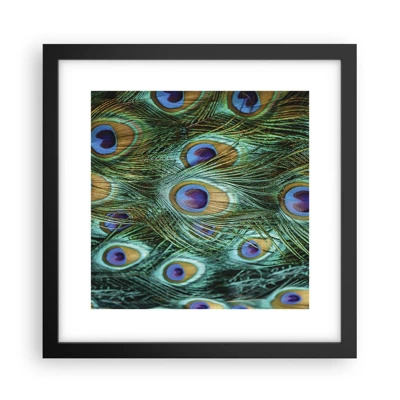 Póster en marco negro - Mirada de pavo real - 30x30 cm